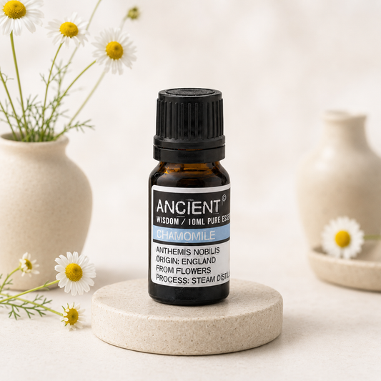 Kamille Roman – Ren Æterisk Olie - 10ml