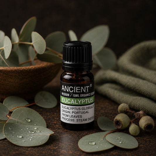 Eucalyptus – Ren Økologisk Æterisk Olie - 10ml